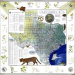 My Favorite Map: The Natural Heritage Map Of Texas, 1986   Texas General Land Office Maps