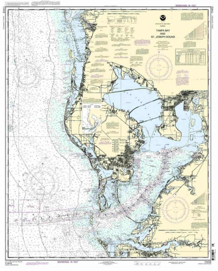 Nautical Map Of Tampa | Tampa Bay And St. Joseph Sound Nautical Map ...