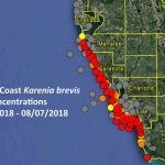 No Red Tide On Pinellas County Beaches As Of Aug. 8 | Pinellas   Current Red Tide Map Florida