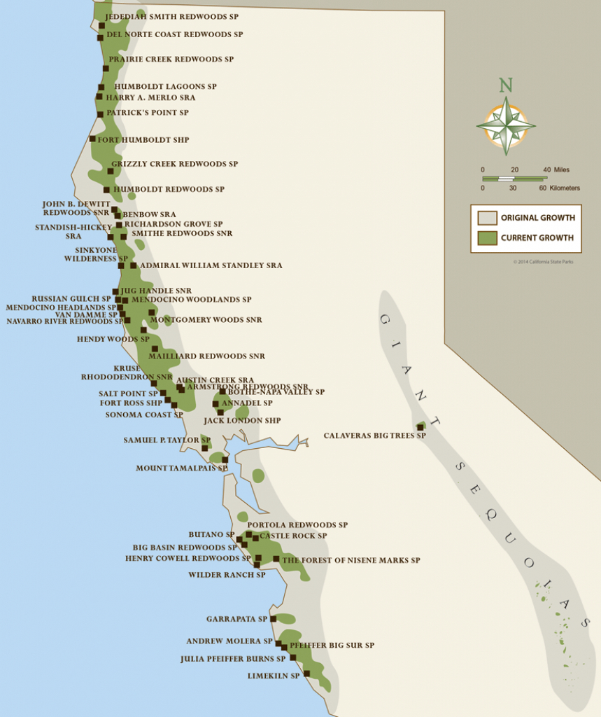 North Coast Redwoods Map | California Girl In 2019 | Humboldt - Camping Northern California Coast Map