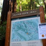 Ocean View Trail Sign And Map, Muir Woods National Monument, Mill   Muir Woods Map California