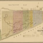 Old City Map   Galveston Texas Landowner   Labatt 1869   Texas Land Ownership Map