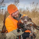 Pheasants Forever's 2017 Pheasant Hunting Forecast | Small Game   Texas Pheasant Population Map