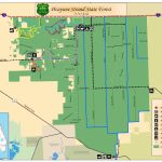 Picayune Strand State Forest / State Forests / Our Forests / Florida   Golden Gate Estates Naples Florida Map