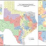 Political Participation: How Do We Choose Our Representatives   Texas House Of Representatives District Map