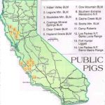 Receive Weekly Reports, And Any New Maps   Oregon,california Hunting   Turkey Hunting California Map