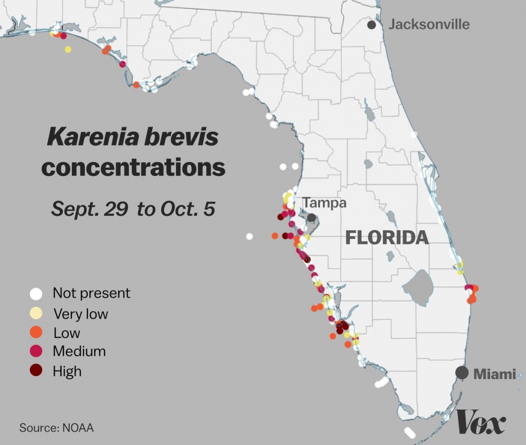 Red Tide: Why Florida's Toxic Algae Bloom Is Killing Fish, Manatees - Florida Blue Green Algae Map
