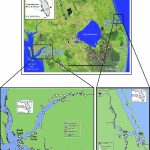 Regional Map For South Florida Including Lake Okeechobee, The   Shell Point Florida Map