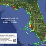 Scientists: Ocean Currents, Not Fertilizers, The Major Cause Of 2018   Current Red Tide Map Florida