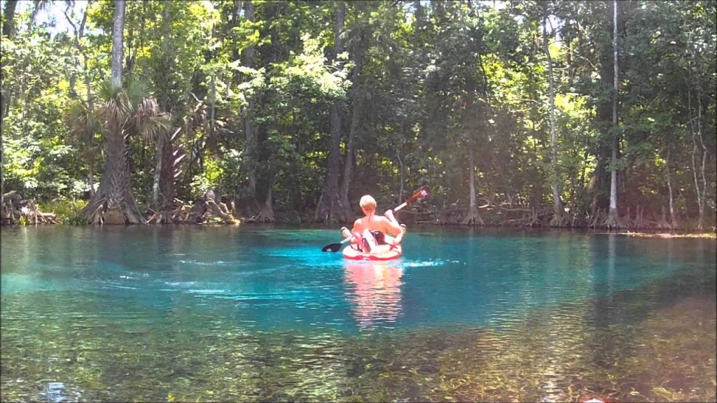 Silver Springs And Silver River State Park Kayak Adventure - June 26 - Silver River Florida Map
