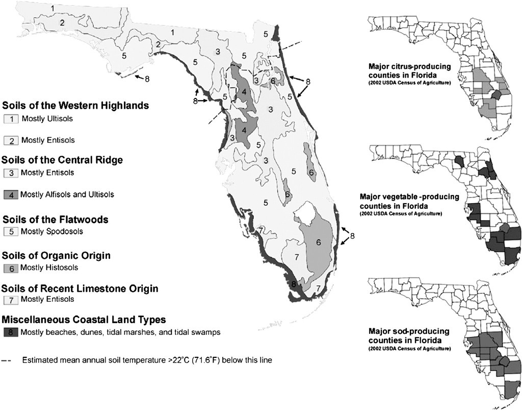 Soil Properties Pertinent To Horticulture In Florida In - Florida Soil Types Map