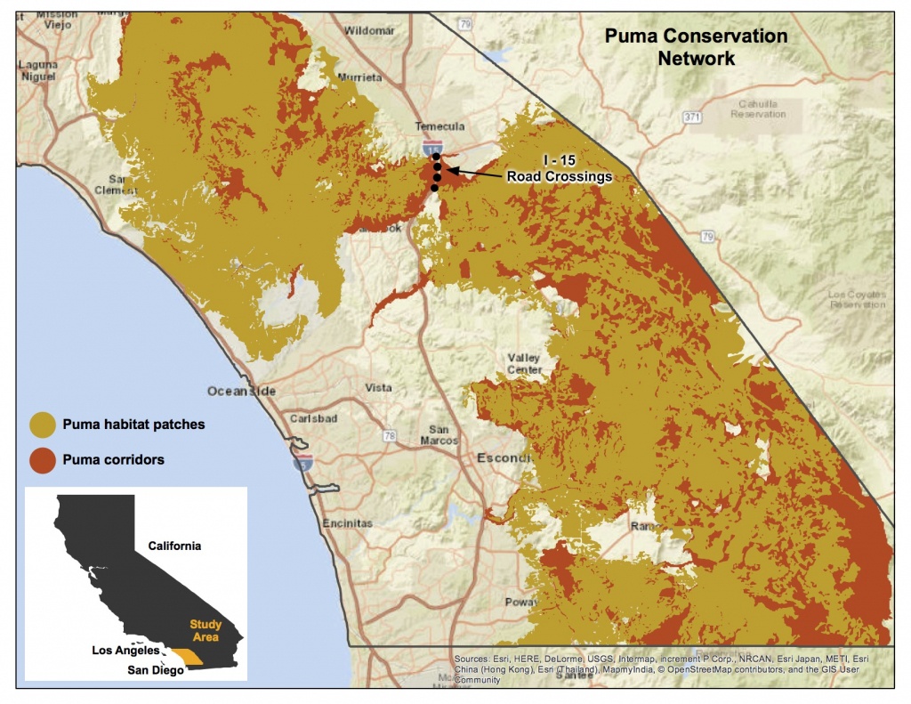 Southern California Mountain Lions&amp;#039; Genetic Connectivity Dangerously - Mountain Lions In California Map