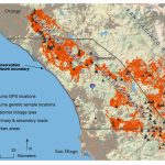 Southern California Mountain Lions' Genetic Connectivity Dangerously   Winston California Map