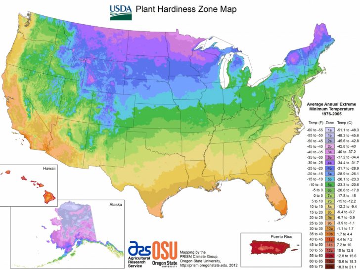Plant Zone Map Florida