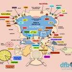 The Disney Food Blog 2018 Epcot Food And Wine Festival Map! | The   Printable Epcot Map