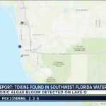 Toxic Algae Found In Lake Okeechobee And Collier County   Florida Blue Green Algae Map