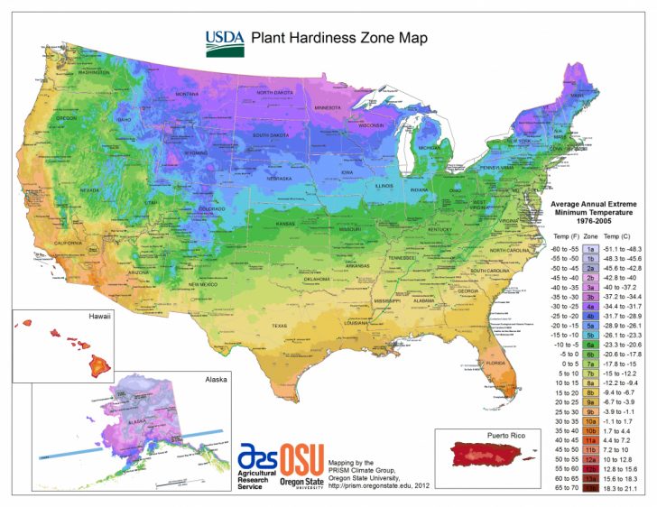 Usda Hardiness Zone Finder Garden Texas Planting Zones Map Printable Maps