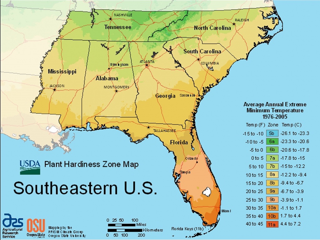 Usda Plant Hardiness Zone Mapsregion - Usda Zone Map Florida