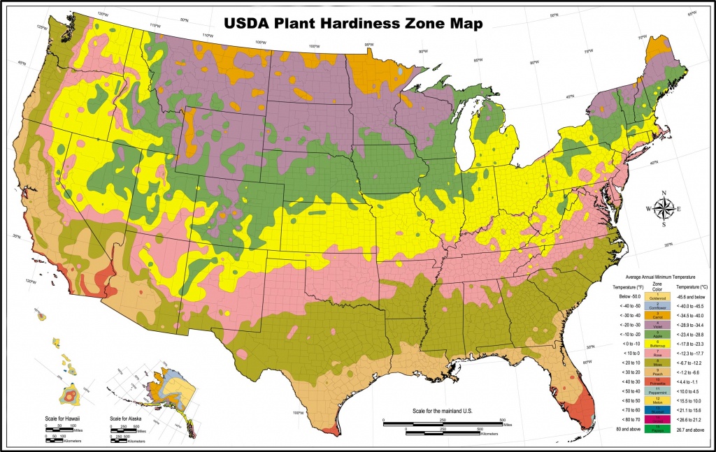 Usda Zone Map For Los Angeles Gardeners - Lawnstarter - Usda Zone Map Florida