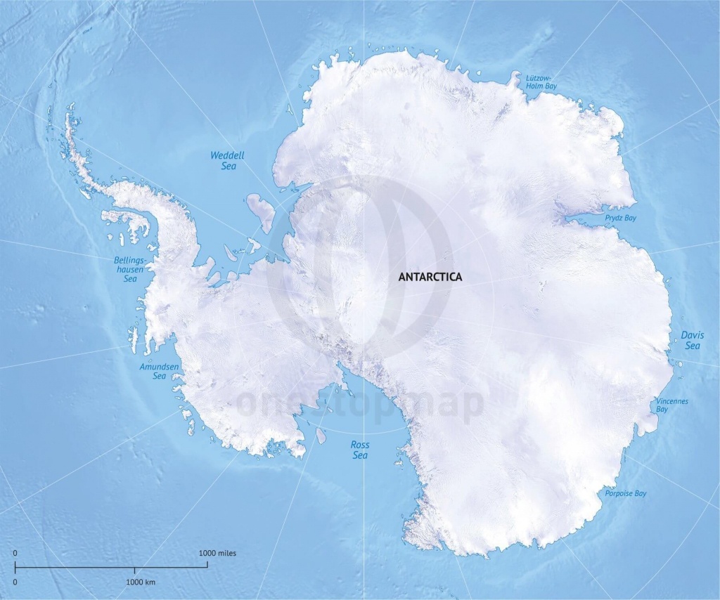 Vector Map Antarctica Continent Relief | One Stop Map - Printable Map Of Antarctica