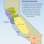 Visit A Member   California Olive Oil Council   California Almond Farms Map