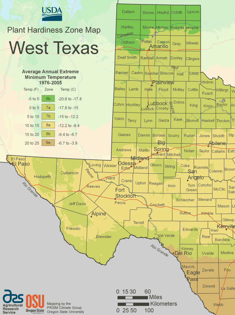 Usda Plant Hardiness Zone Mapsregion Texas Growing Zone Map