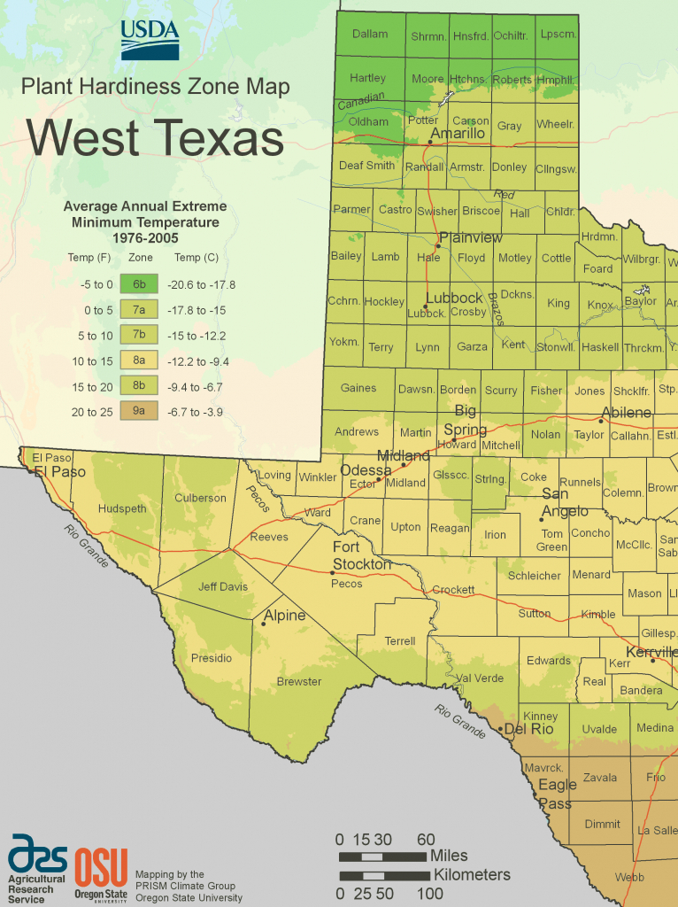 West Texas Plant Hardiness Zone Map • Mapsof - Texas Hardiness Zone Map