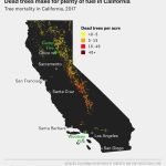Why California's Wildfires Are So Destructive, In 5 Charts   California Fires Map