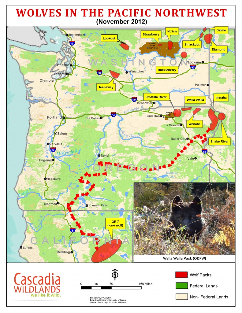 Wolves Return To Oregon And California: But Protecting Them May - Wolves In California Map